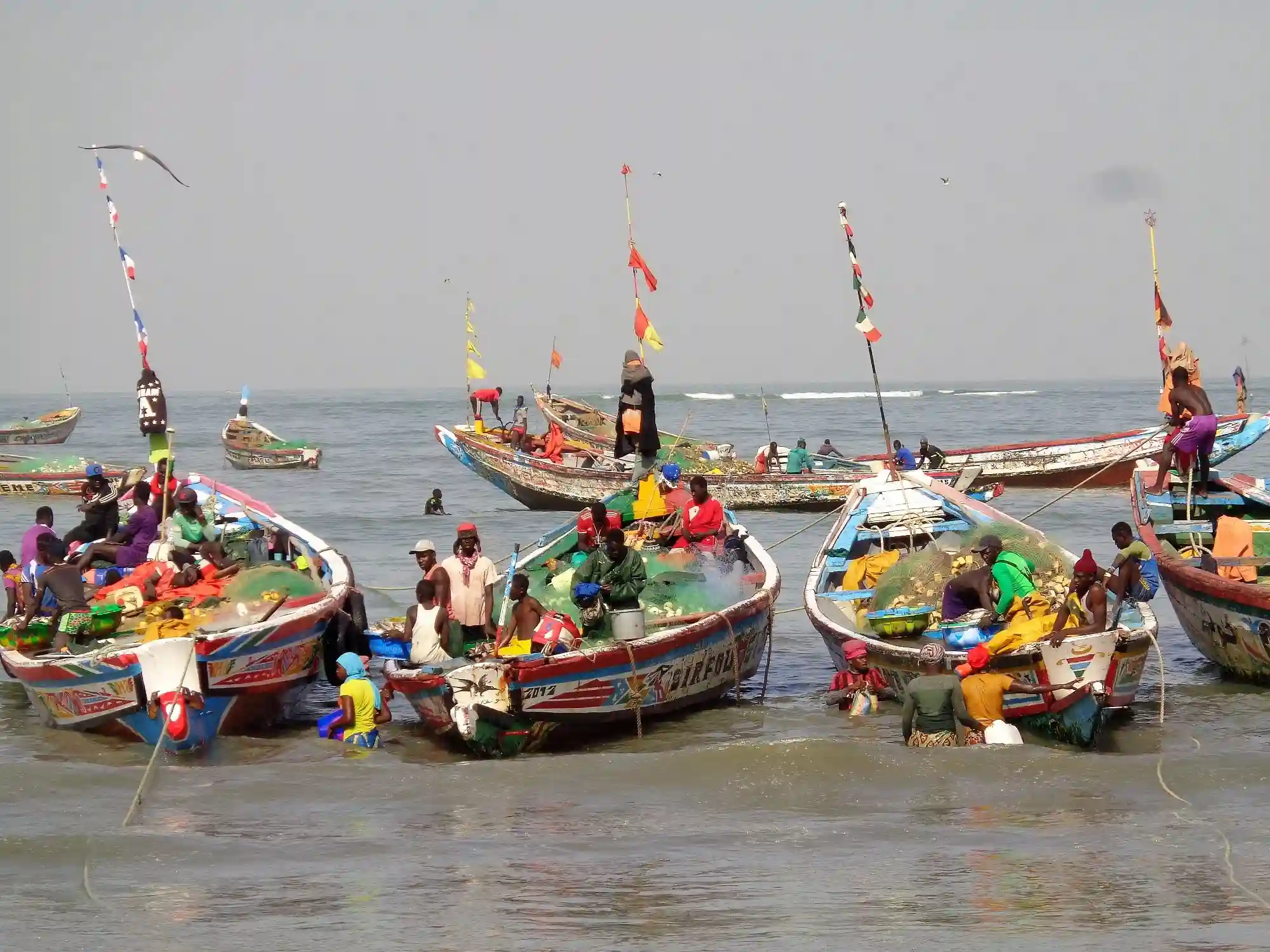 Travel guide to Gambia featuring traditional colorful wooden fishing boats moored along the Atlantic coastline
