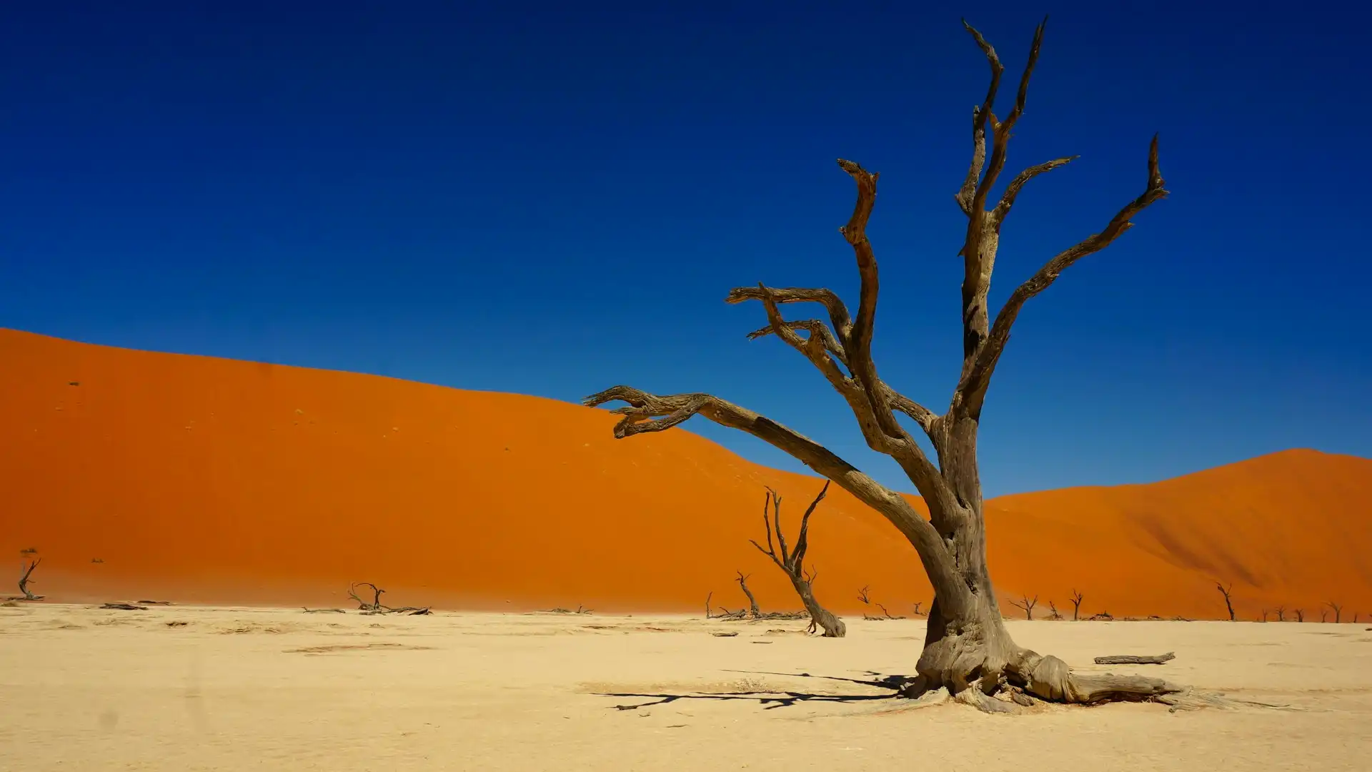 Travel guide to Namibia featuring Sossusvlei red dunes and desert landscape