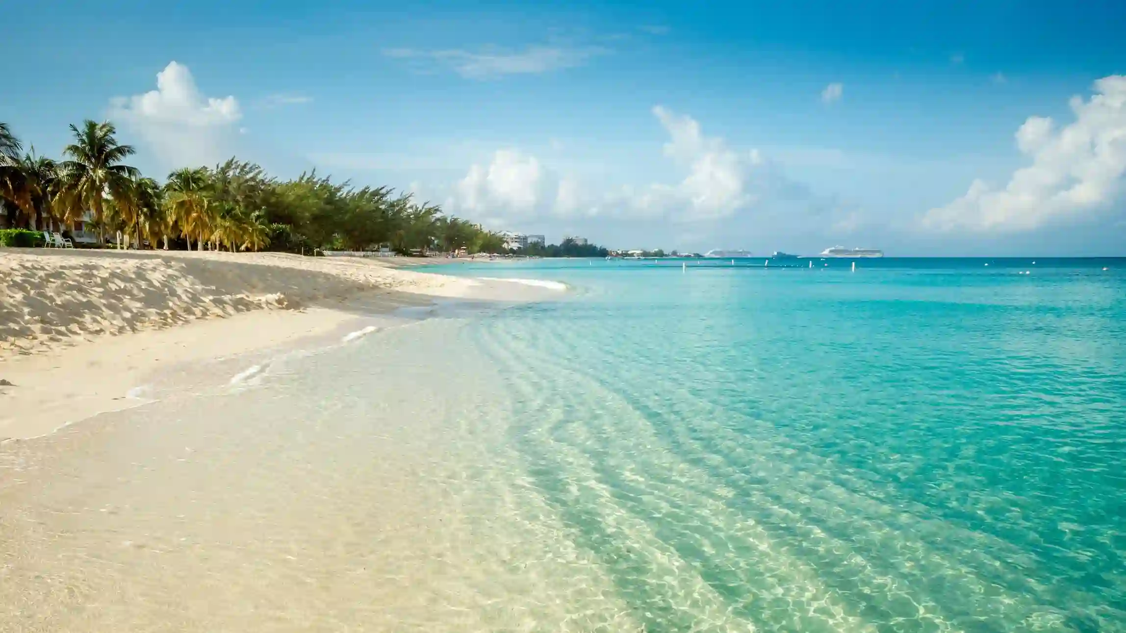 Travel guide to Jamaica featuring turquoise waters and tropical palm trees on Negril Seven Mile Beach