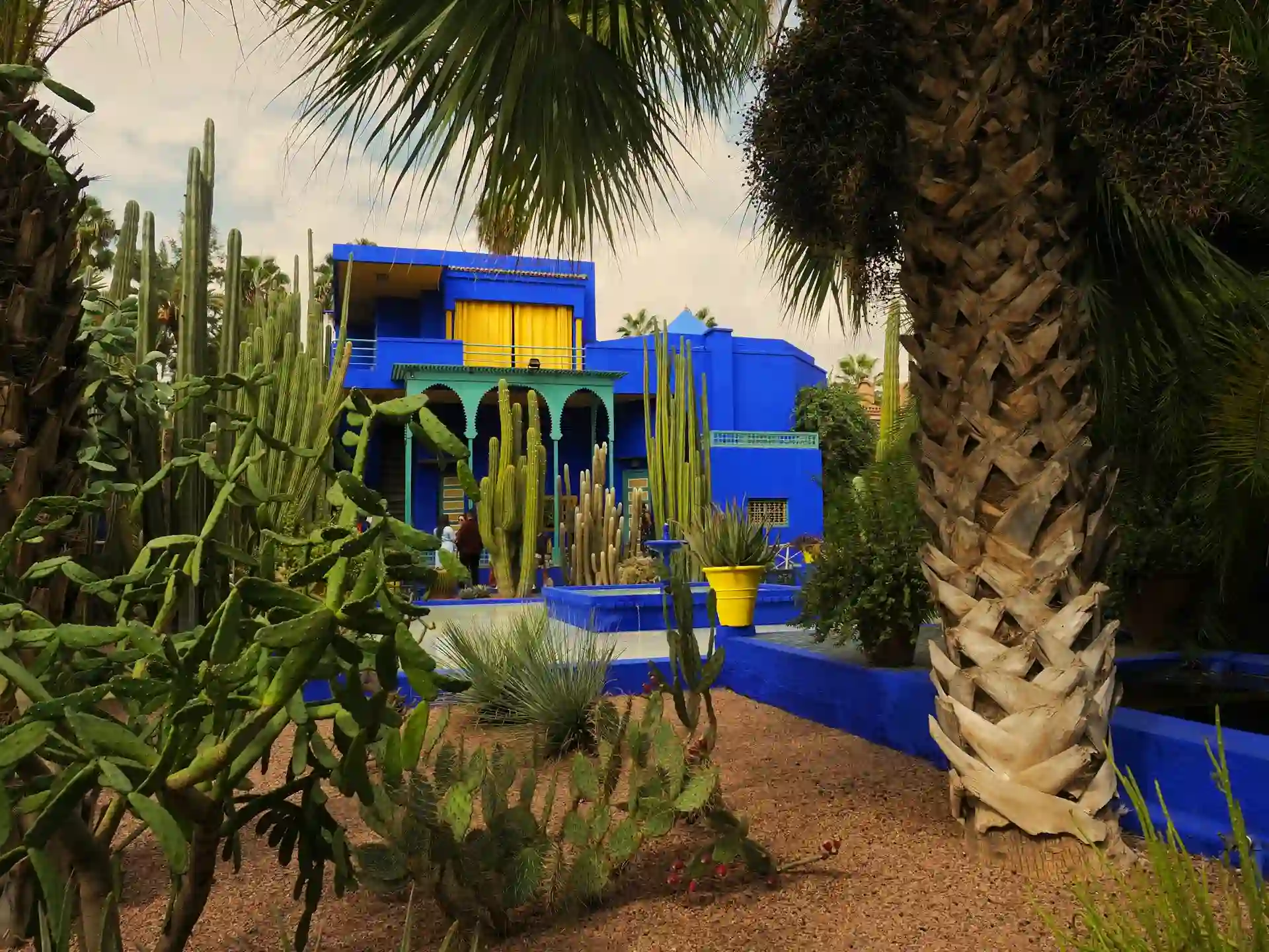 Travel guide to Morocco featuring Majorelle Garden and Marrakech