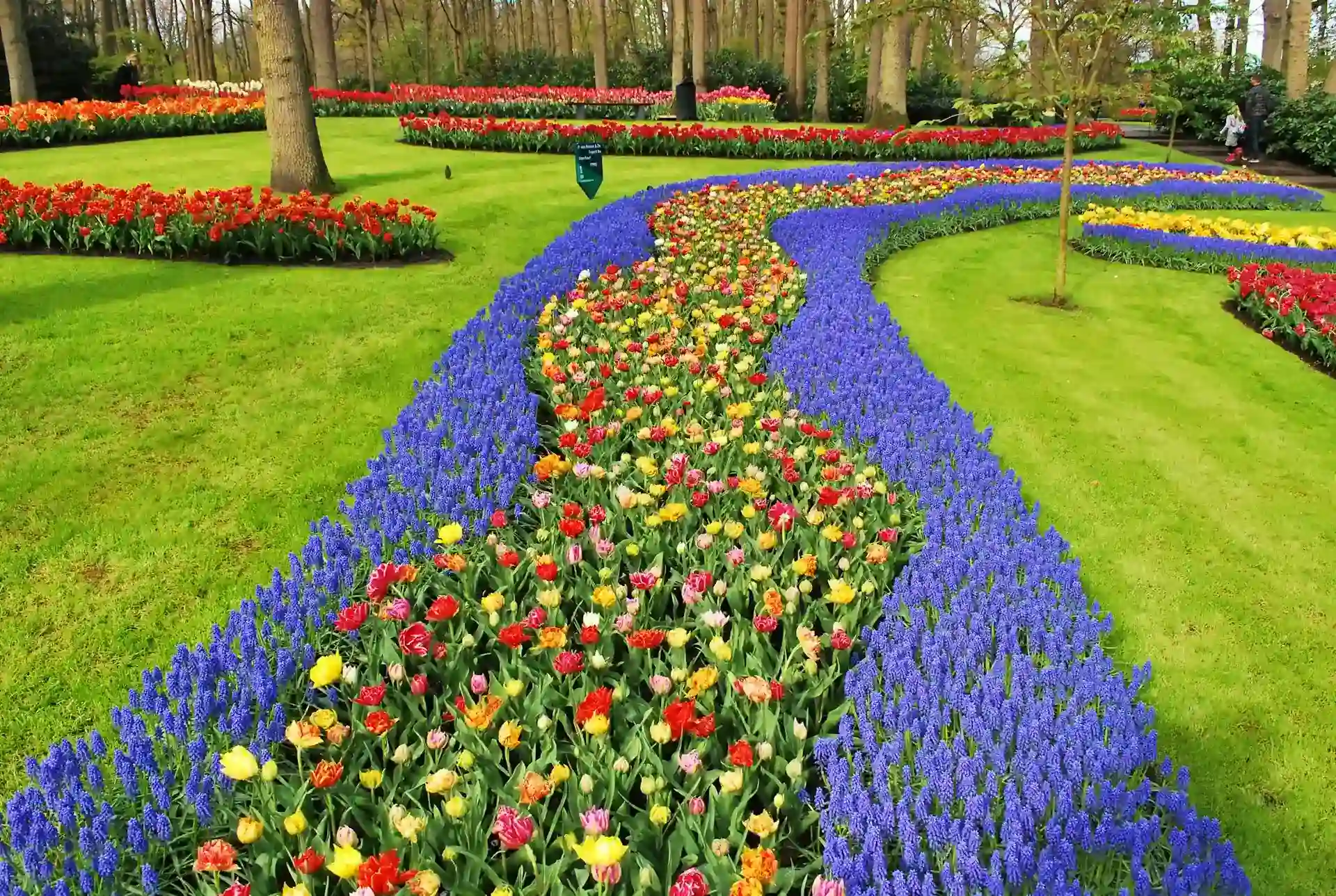 Travel guide to the Netherlands featuring Keukenhof tulip gardens