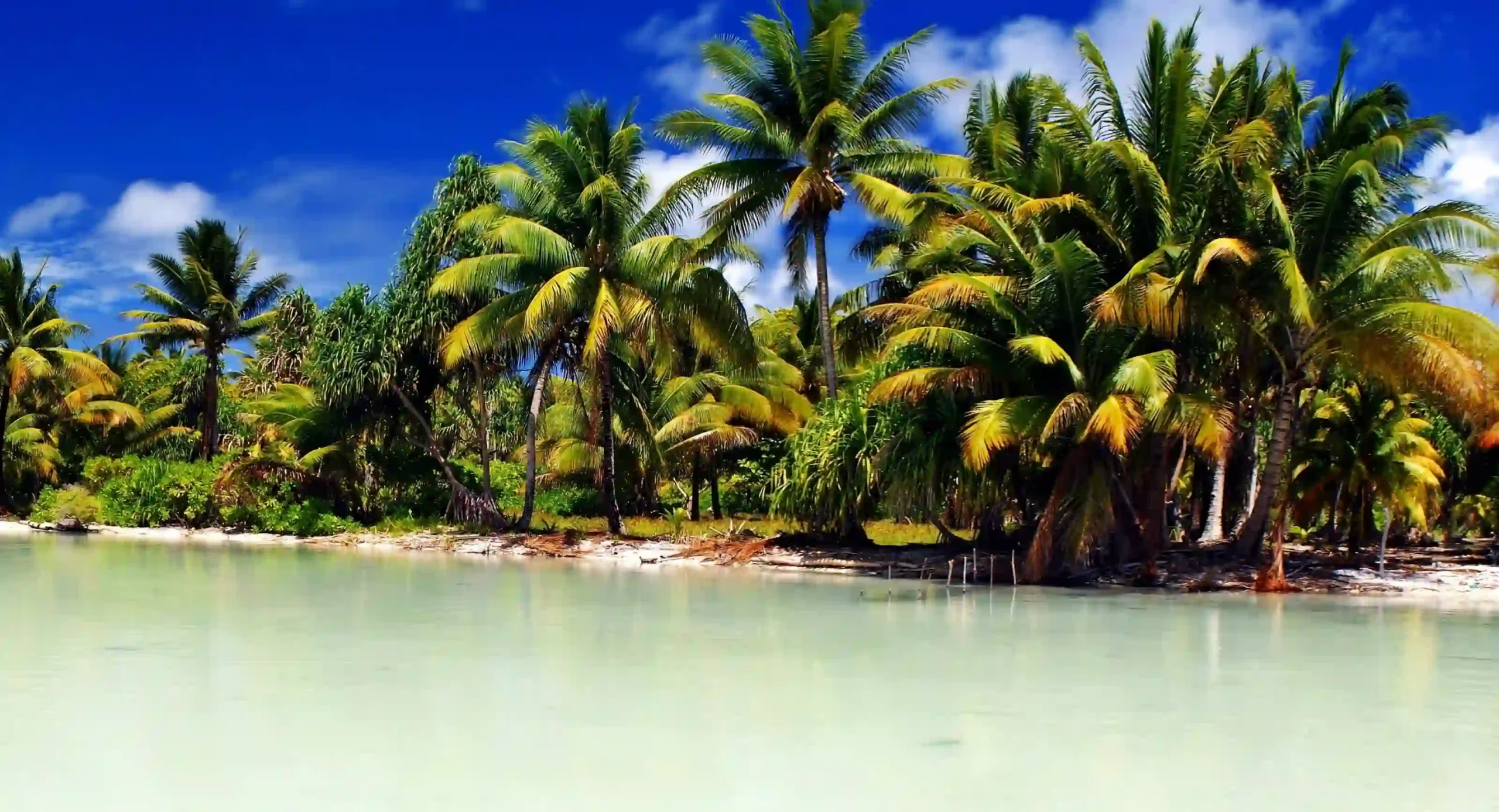 Travel guide to Kiribati featuring turquoise lagoon waters and palm trees on a remote coral atoll