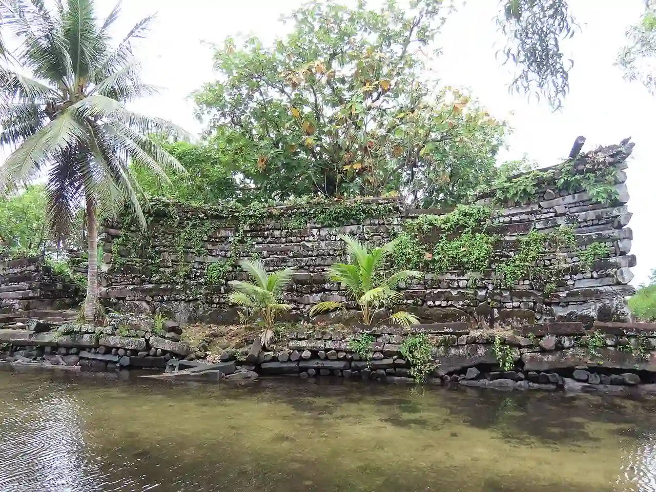 Travel guide to Micronesia featuring the ancient stone ruins of Nan Madol surrounded by tropical palm trees