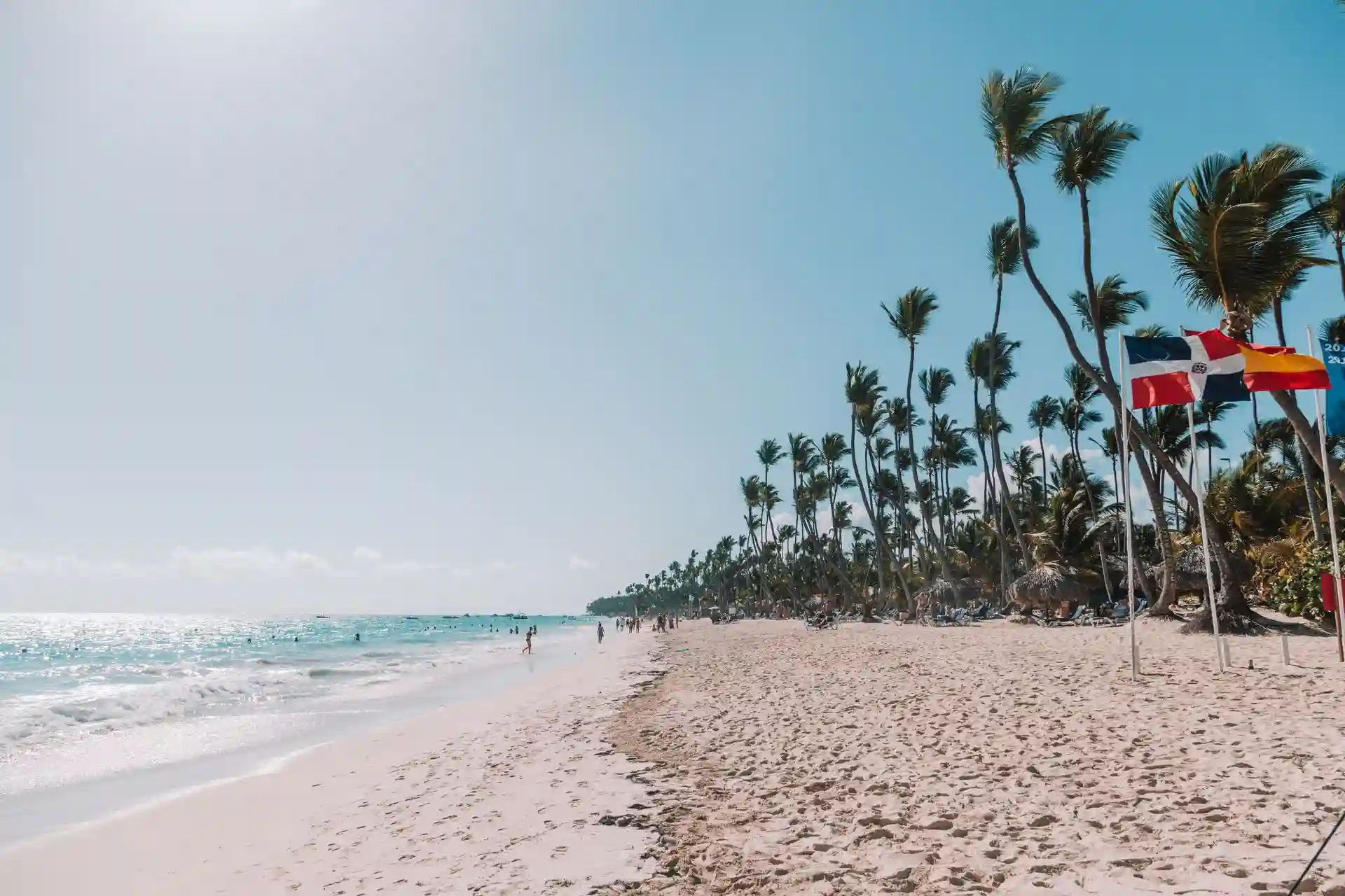 Travel guide to Dominican Republic featuring turquoise waters and coconut palm trees along a white sand beach in Punta Cana