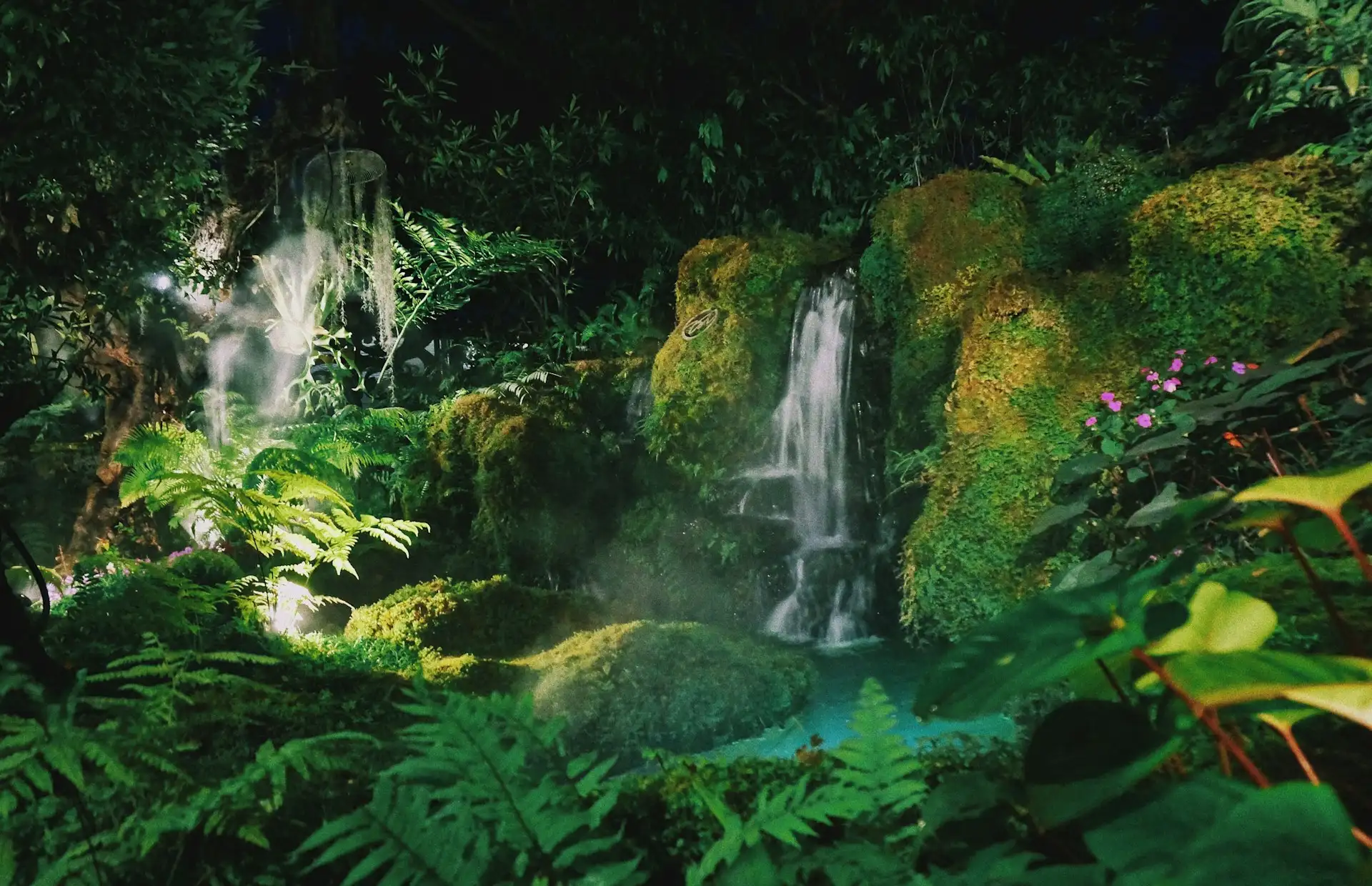 Amazon Rainforest
