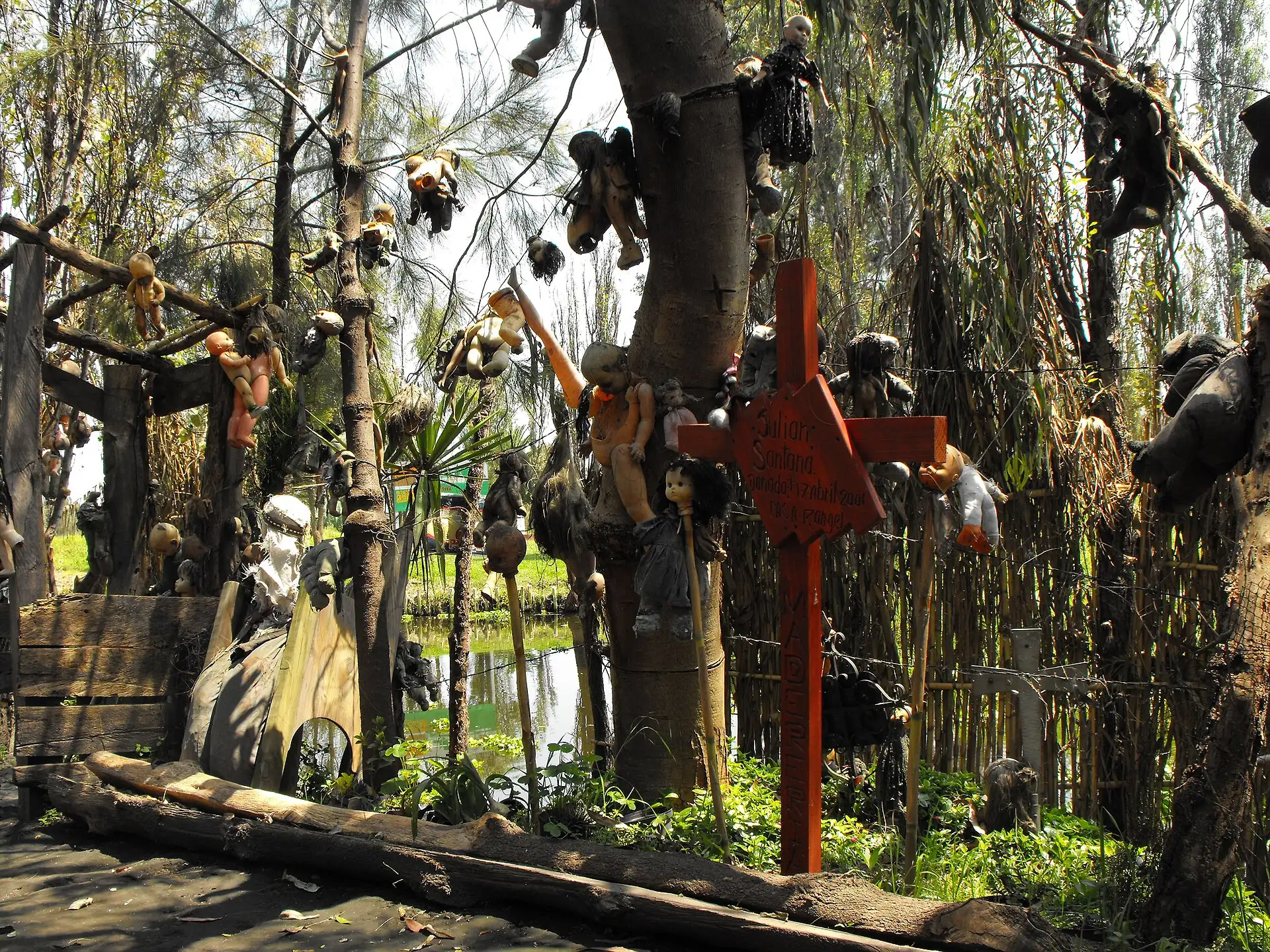 Eerie woodland setting hung with old dolls at Isla de las Munecas Mexico
